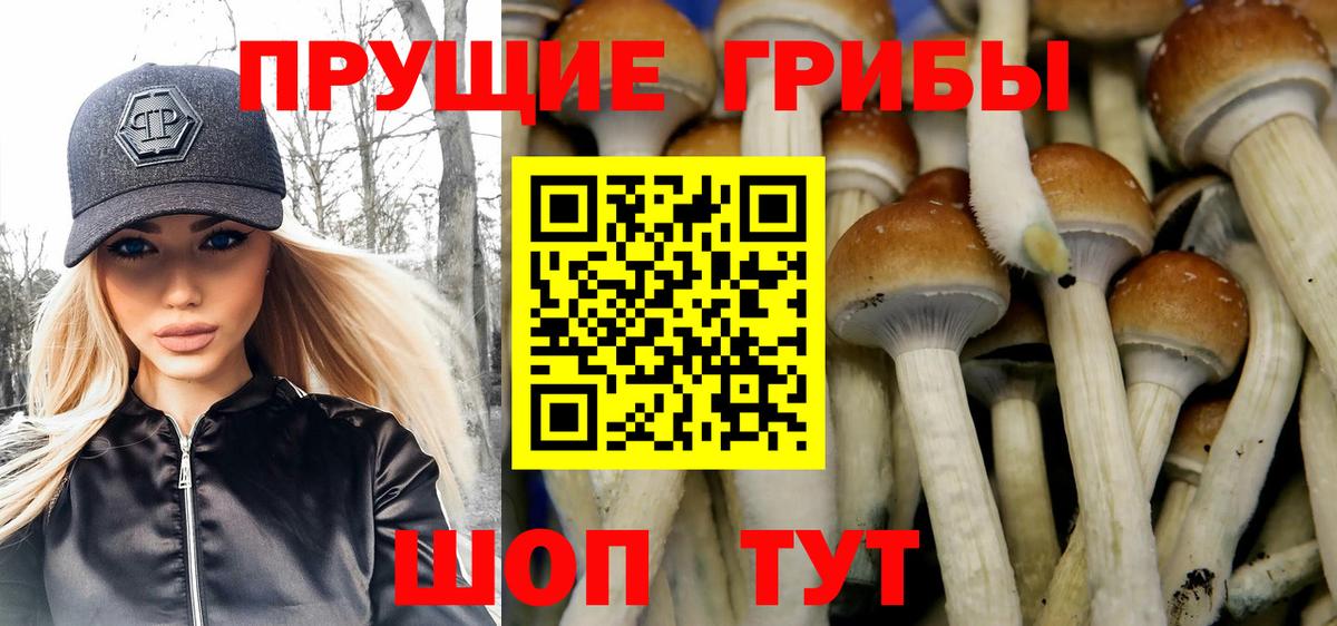 Галлюциногенные грибы мицелий Ковров